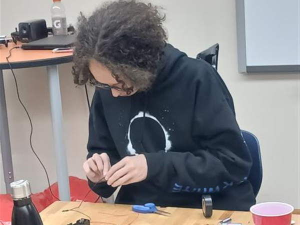 Miles Robot Wiring